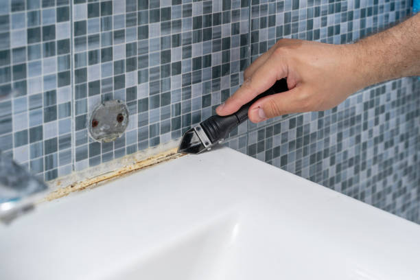 Best Emergency Mold Remediation in Callaway, FL