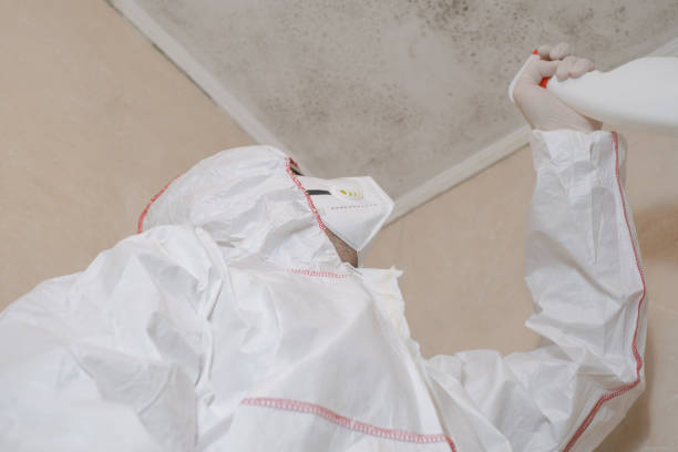 Best Industrial Mold Remediation in Callaway, FL